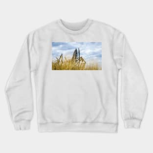 Spirit Warriors of Little Bighorn Crewneck Sweatshirt